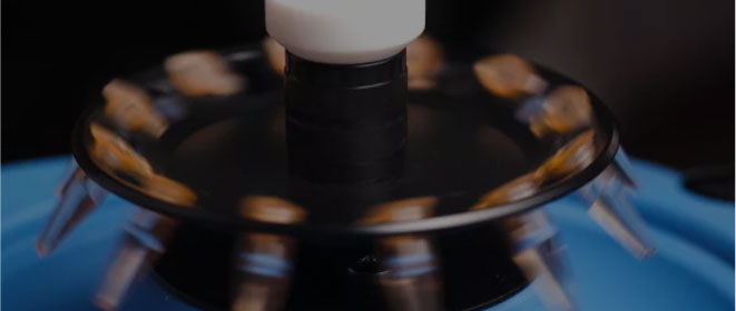 โดยปกติสามถึงสี่เดือน