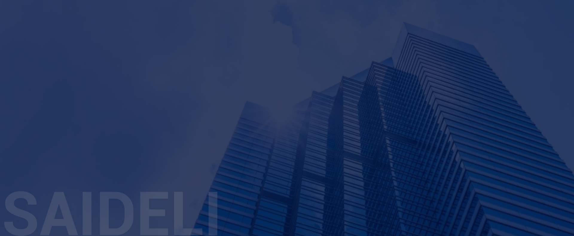 เกี่ยวกับ saideli